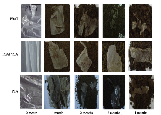 PBAT/PLA共混物生物降解塑料袋的降解過程(圖2)