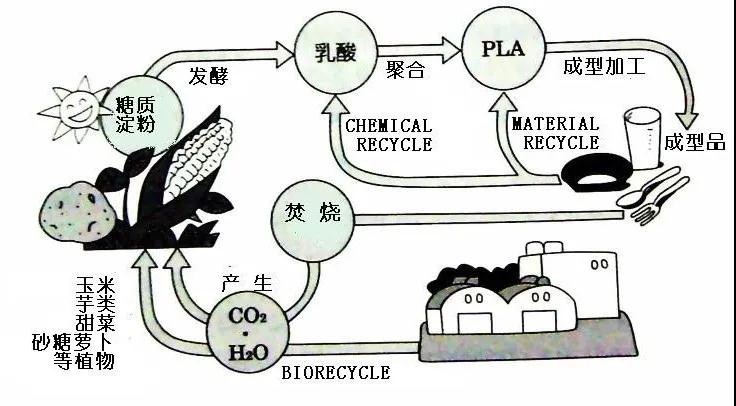 可生物降解環(huán)保塑料可以回收再利用嗎？(圖4)