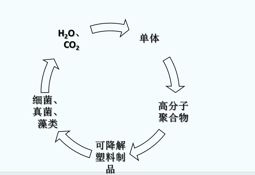 什么是可生物降解塑料？(圖1)